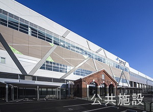 公共